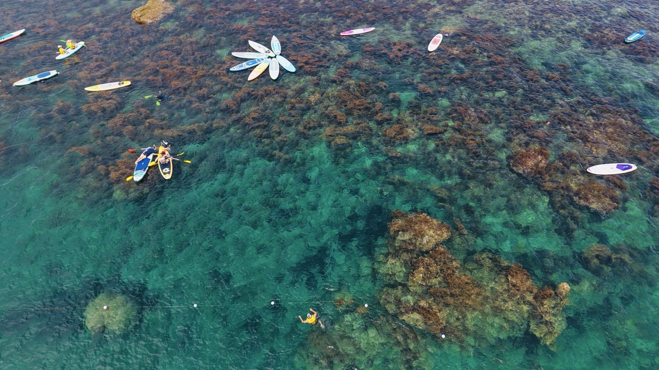玩一整天！Hòn Khô 快艇串起大小島嶼、海上浮島與漁村日常，加碼綠藻礁秘境探幽