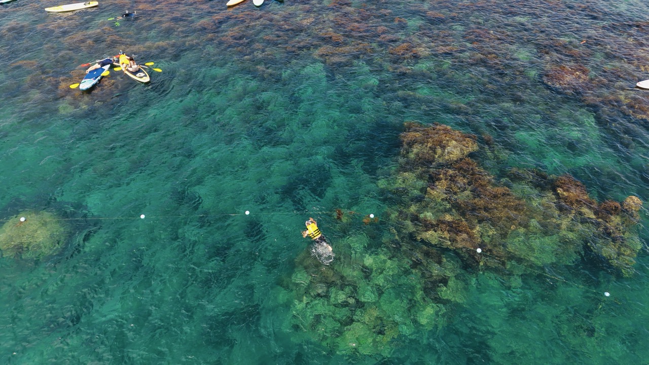 玩一整天！Hòn Khô 快艇串起大小島嶼、海上浮島與漁村日常，加碼綠藻礁秘境探幽